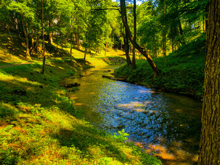 river in the woods