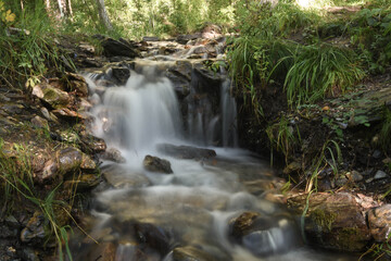 Obraz premium Beautiful waterfall in the Altai forest