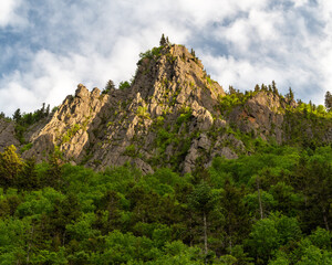 dixville notch craig