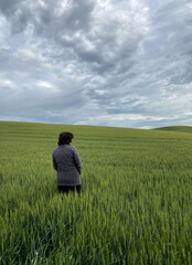 Naklejka na ściany i meble Woman standing alone looking away from camera towards expansive wheat field on a cloudy day.