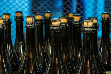 Mouths of champagne bottles in close up.