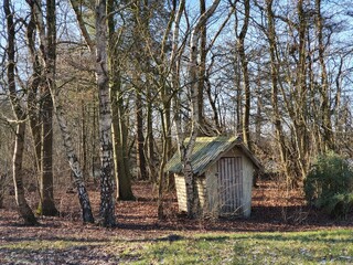 house in the woods