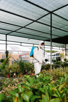 Man Wearing A Professional Protective Coverall To Fumigate Plant