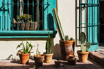flower pots and cactus sen in front of a house © Elmer Hidalgo Photo