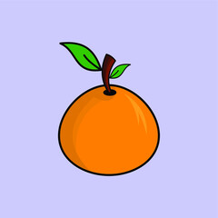 orange fruit illustration