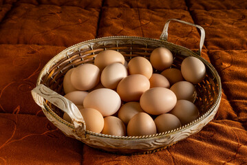 Italy: basket of freshly picked eggs in the chicken coop. © Enzo Valentini