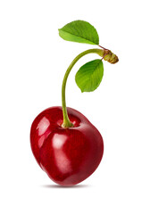 Cherry isolated on white background with clipping path