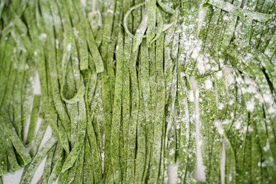 Close up of homemade spinach spaghetti pasta with flour