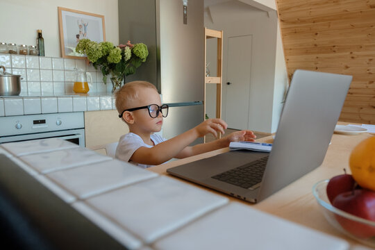 Smart boy studying in kitchen