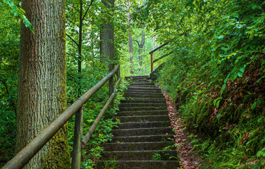 Eine Treppe mitten im Wald