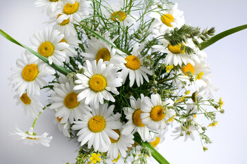 Top view of a bouquet of daisies on a white background. Summer concept