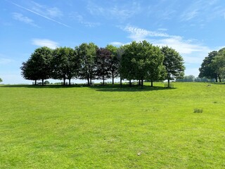 A view of the Cheshire Countryside at Tatton Park