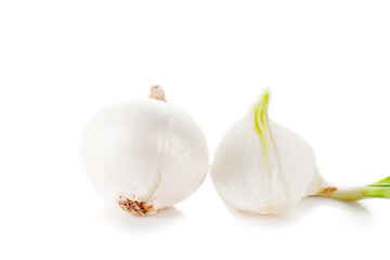 Large white onion, onion wedges, chopped onion.
