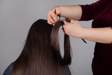 Fototapeta premium Professional Hairdresser female cutting caucasian woman's hair.