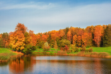 Autumn trees on the bank of the pond. Panoramic autumn landscape with red trees.