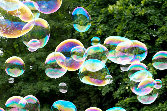 many round soap bubbles fly in the air against the background of green trees. soap bubble festival in nature