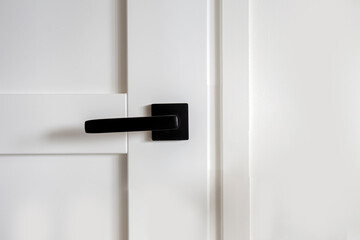 modern and stylish white wooden door with black door handle interior design, close up background...