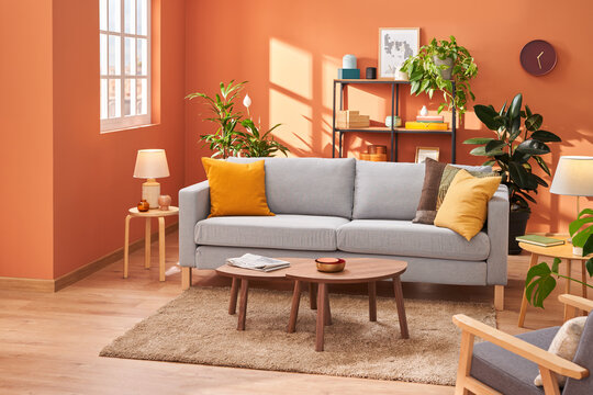 Interior of spacious living room