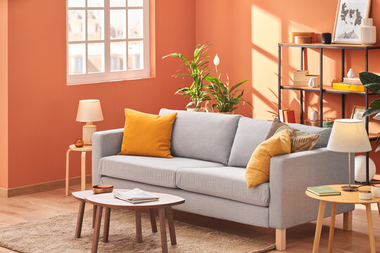 Comfortable couch in living room