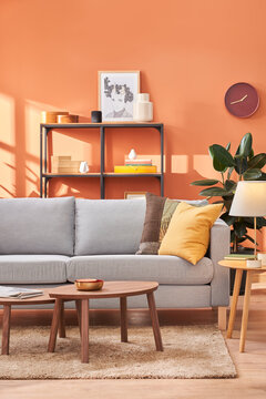 Stylish Living Room With Orange Wall
