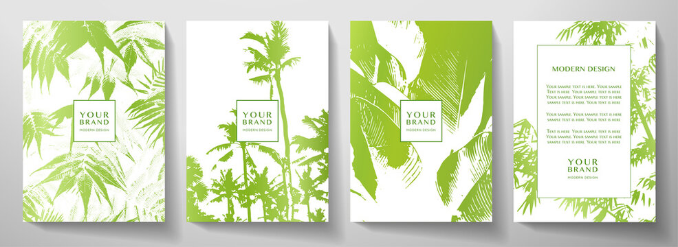 Tropical cover, frame design set with abstract leaves, palm tree pattern. Green exotic vector background useful for brochure, menu template, summer holiday poster