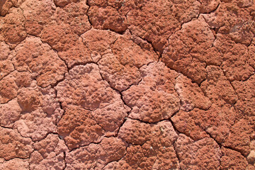 The surface of red, rusty clay, covered with cracks. The surface looks like Martian soil. A bright, sunny day. Harsh shadows. Top view, texture.