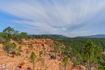 Pine tree forest and sand canyon long exposure