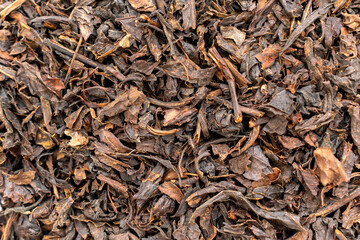 Dried black tea leaves background. Aromatic drink ingredient close-up, top view.