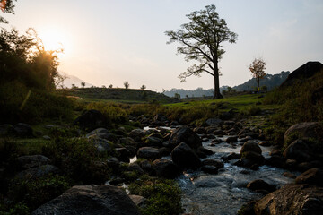 Various views of Palampur, Himachal 