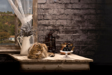 Imagen de un gato y una moras negras sobre una mesa rústica de madera , detrás se puede ver una jarra blanca con lilas una ventana y una pared de ladrillos de fondo