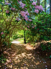 Public garden of the  Government House in Victoria BC