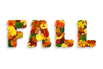 Word “FALL” made with colorful hawthorn, maple, alder, oak fall leaves, physalis lanterns...