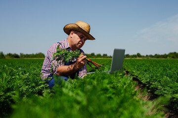 Agriculture farmer holding bunch of carrots