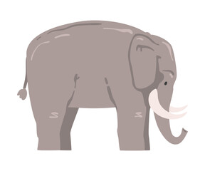 Naklejka premium Cute Elephant African Animal, Wild Herbivore Jungle Animal Cartoon Vector Illustration