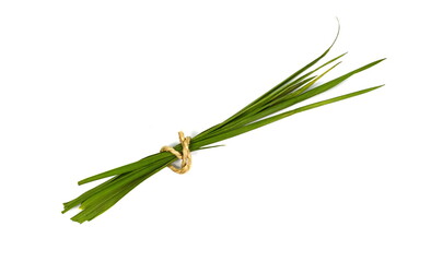 Freshly harvested young green barley on white. Organic food concept. Bunch of green grass isolated on white background