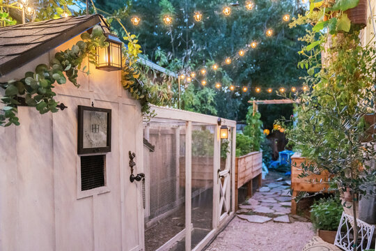 Urban Farm Chicken Coop At Night With Lights