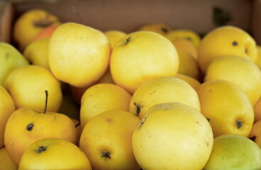 Apples on the market. Fresh organic red apples from the local farmers market. Apples background background texture seasoning Apples for sale. 