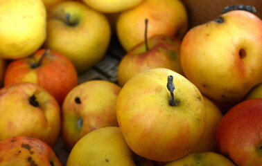 Apples on the market. Fresh organic red apples from the local farmers market. Apples background background texture seasoning Apples for sale. 