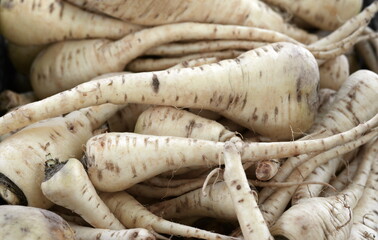 Parsnip full frame background root vegetable. Parsnips. Cooking ingredients from a farmers markets, Fresh Fruits and vegetables. Classic ingredients and garnishes used in restaurant cooking.