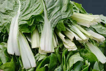 Chard. Mangold Beta vulgaris. Biennial herb, a subspecies of common beet. Fortified green lettuce leaves. Vegetarian or healthy food. Washed chard. 