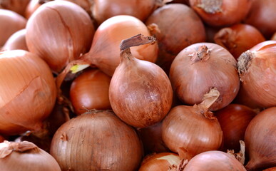 Fresh sweet onions at a farmers market. Fresh onions background. A bunch of Yellow onions. Close up.