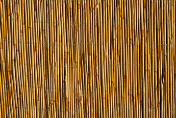 The texture of the straw fence. Wall of grass stalks close up. Yellow wall of reeds and bamboo.