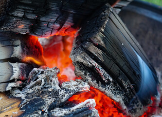 Beautiful fiery background. Close up of burning firewood, ash and fire