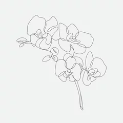 Foto op Plexiglas Vector Flower mono-line  illustration. Contemporary art drawing. © plasteed
