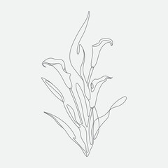 Vector Flower mono-line  illustration. Contemporary art drawing.
