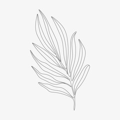 Tropic leaf monoline vector illustration.  