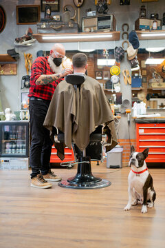 Hairdresser, Client And Dog In The Hairdressing. 