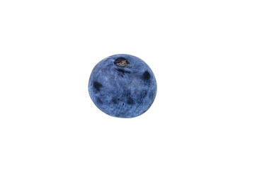 One blueberry isolated on a white background. Healthy eating