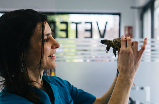 Veterinary office