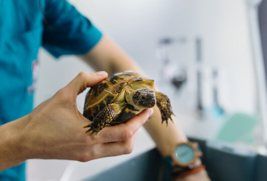 Veterinary office